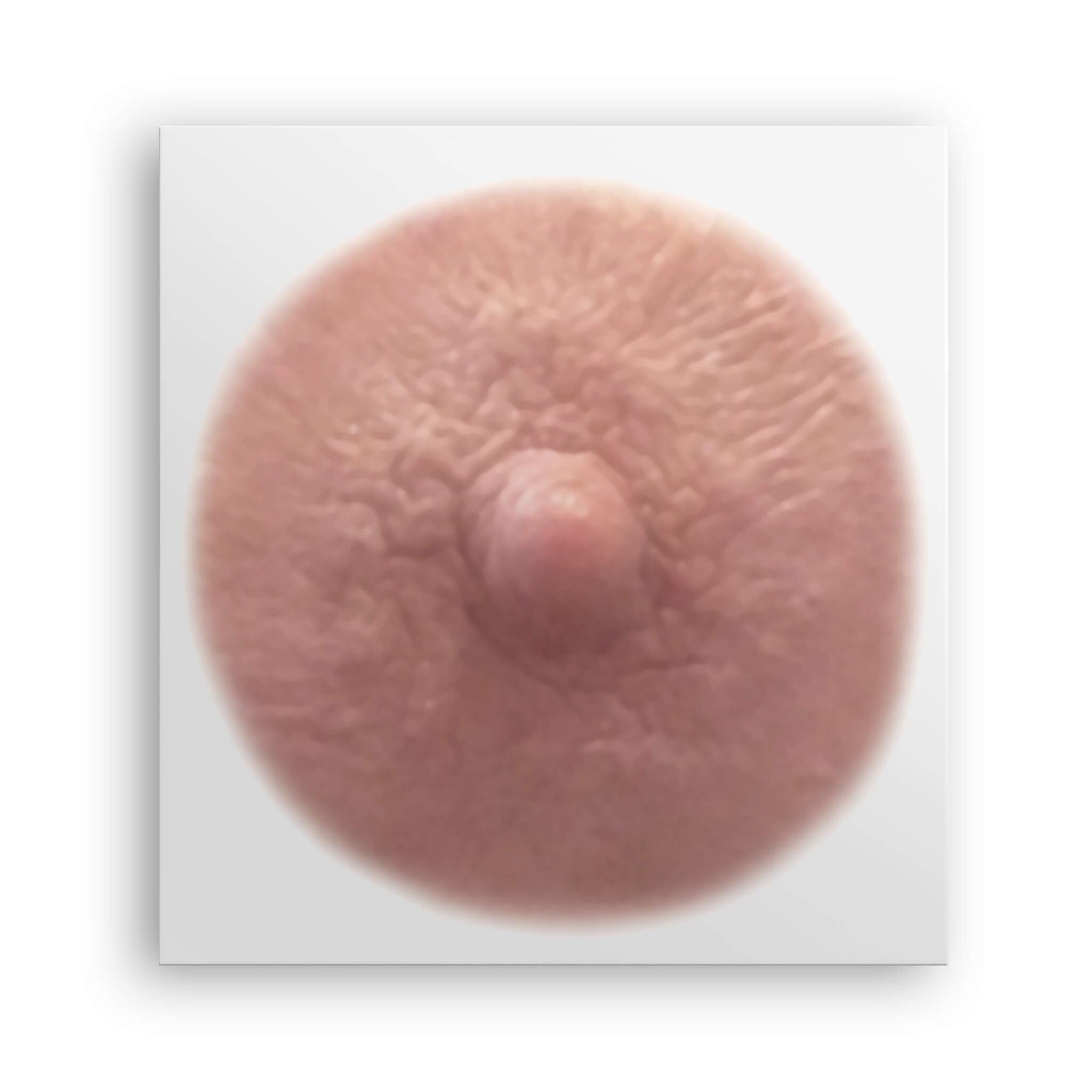 TataTattoos Temporary Realistic Nipple/Areola Tattoos – Non-Surgical Mastectomy Recovery (Auburn, Medium Pack of 10)