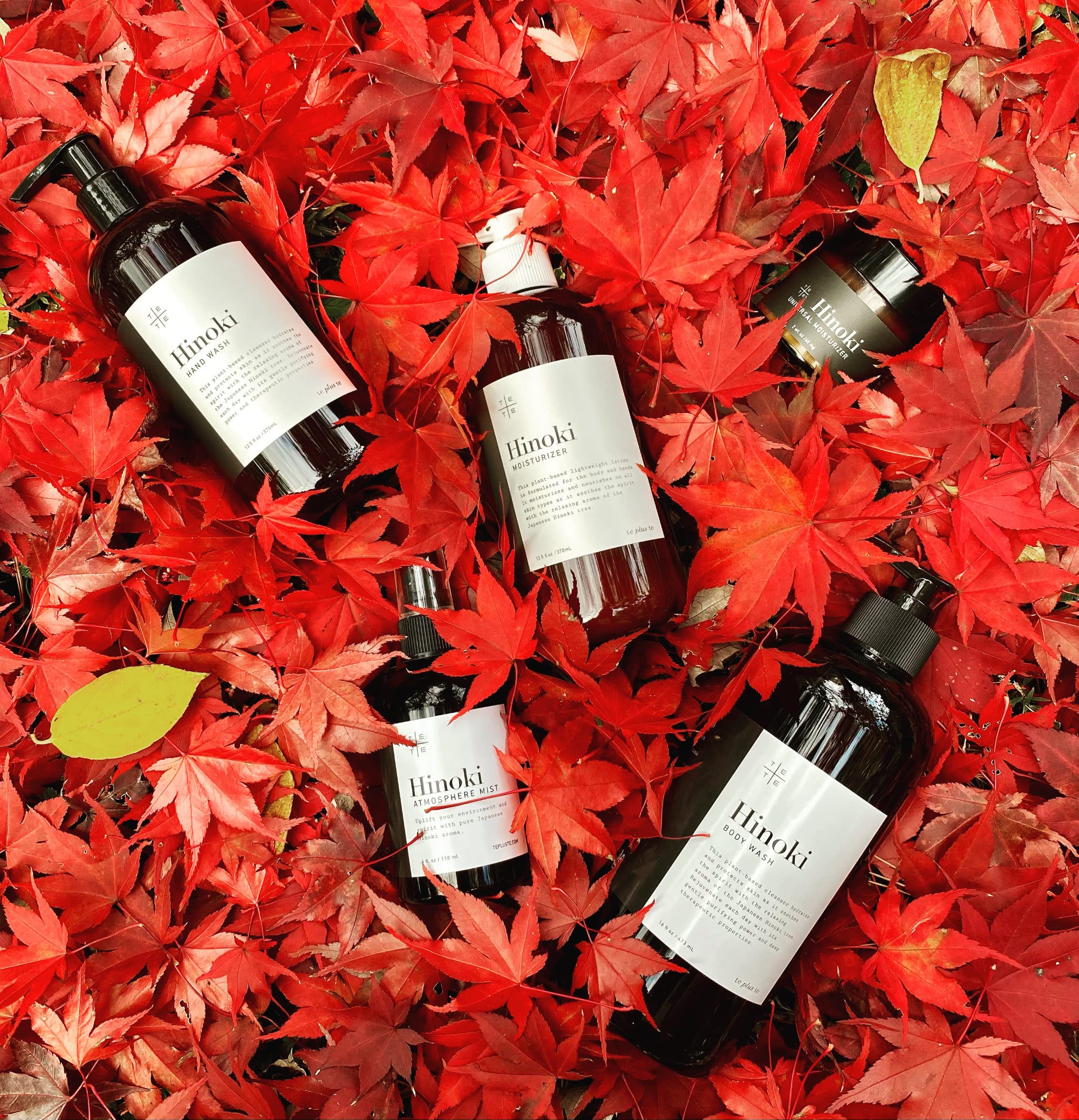 TE + TE Hinoki Body Wash – Gentle, Hydrating Cleanse with Japanese Hinoki Essential Oil | Vegan