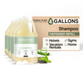 Terra Pure Hotel Shampoo – Four Gallons for Refilling Dispensers (Set of 4)