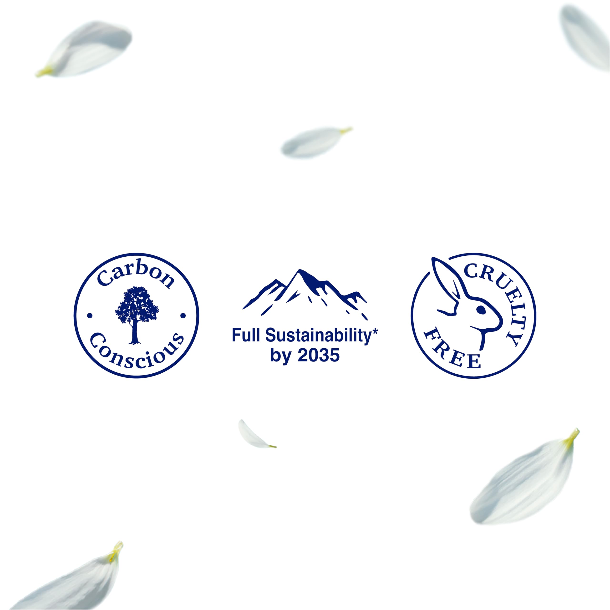 Terre De Vie Rosemary Shampoo – Strengthen & Hydrate with Natural Oils | SLS & Paraben-Free