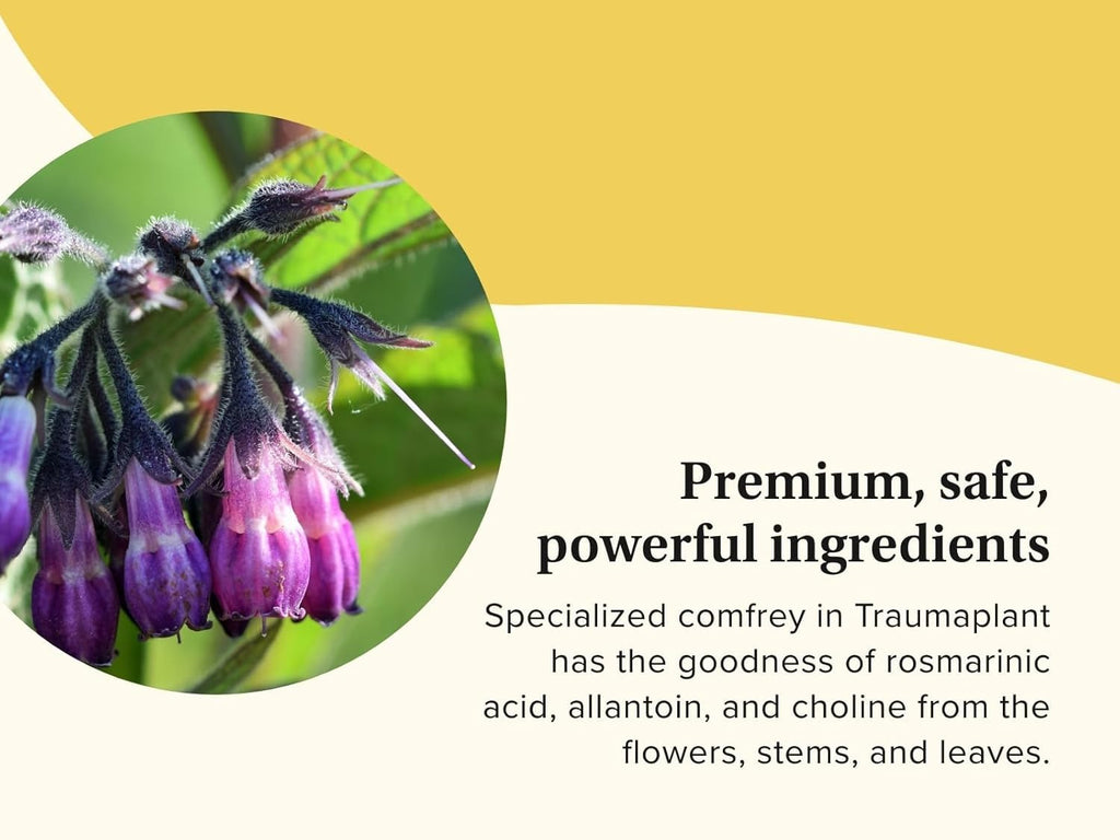 Terry Naturally Traumaplant Comfrey Cream – Non-Staining, PA-Free, 2-Pack (3.53 oz)