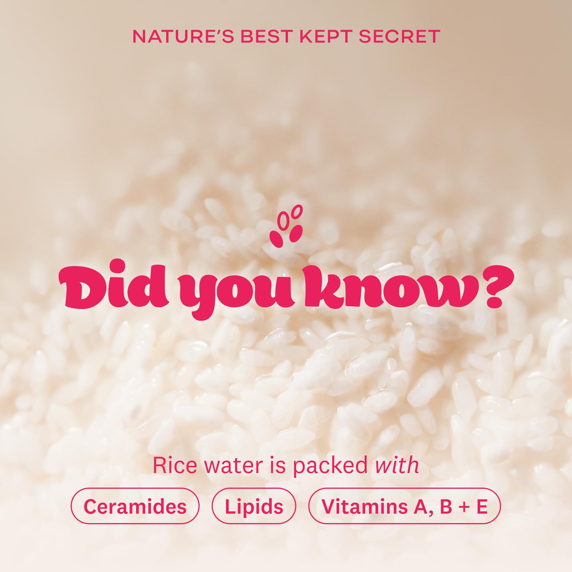 The Face Shop Rice Water Bright Double Cleansing Duo Set – Ceramide, Korean Skincare, Vegan Cleanser & Makeup Remover