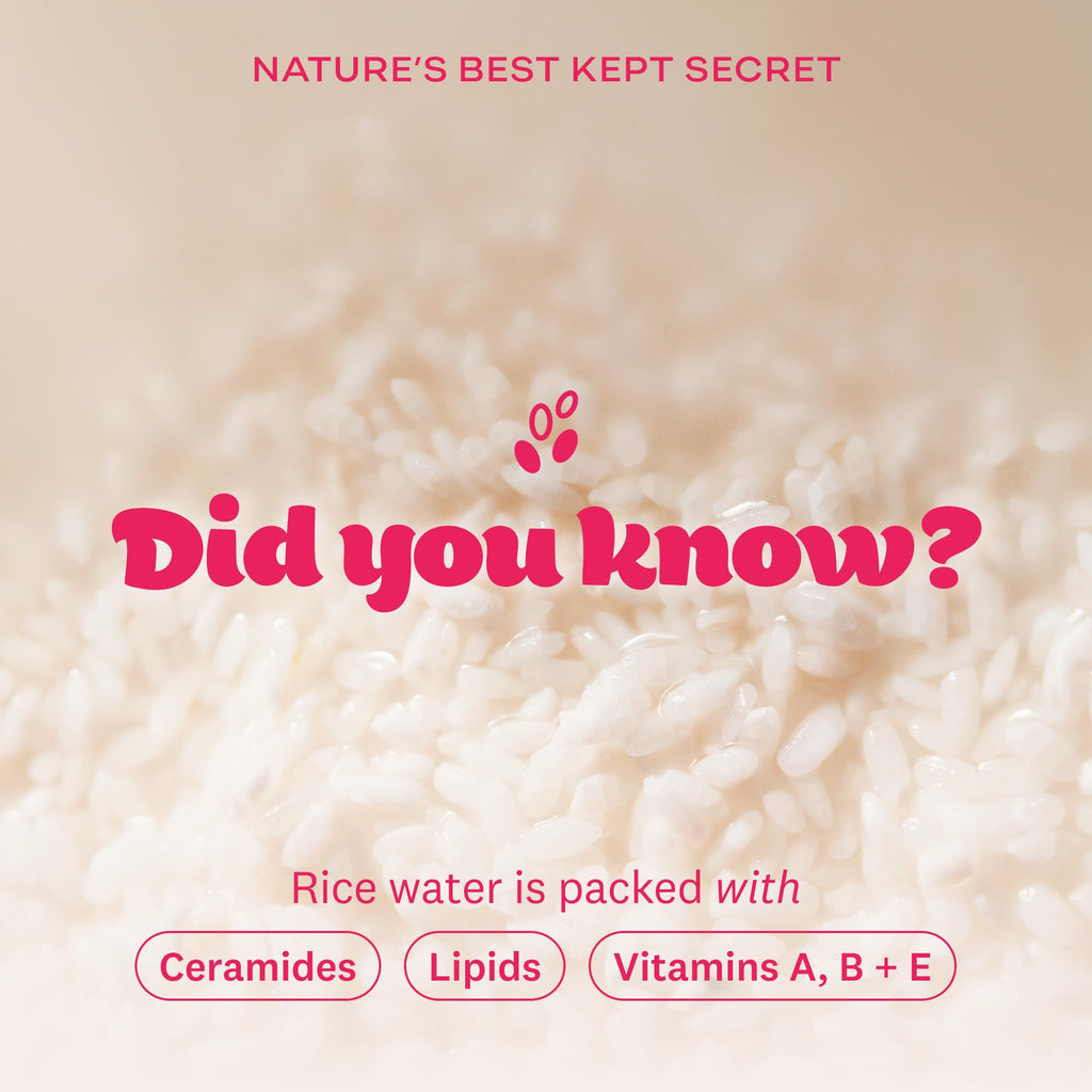 The Face Shop Rice Water Bright Vegan Cream – Instant Moisturization, Quick-Absorbing Formula