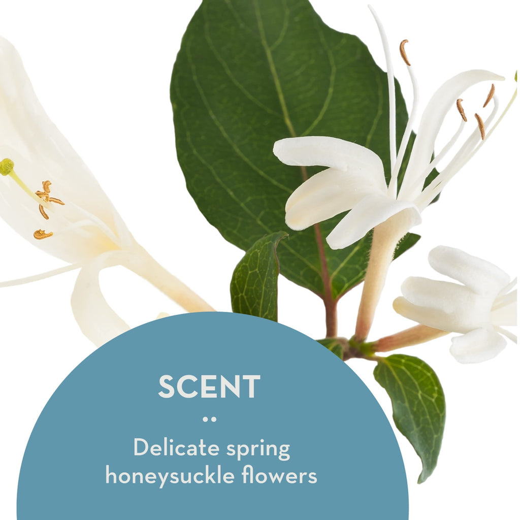 The Organic Skin Co Anti Aging Dream Cream with Vitamin C, Amla Oil & Honeysuckle