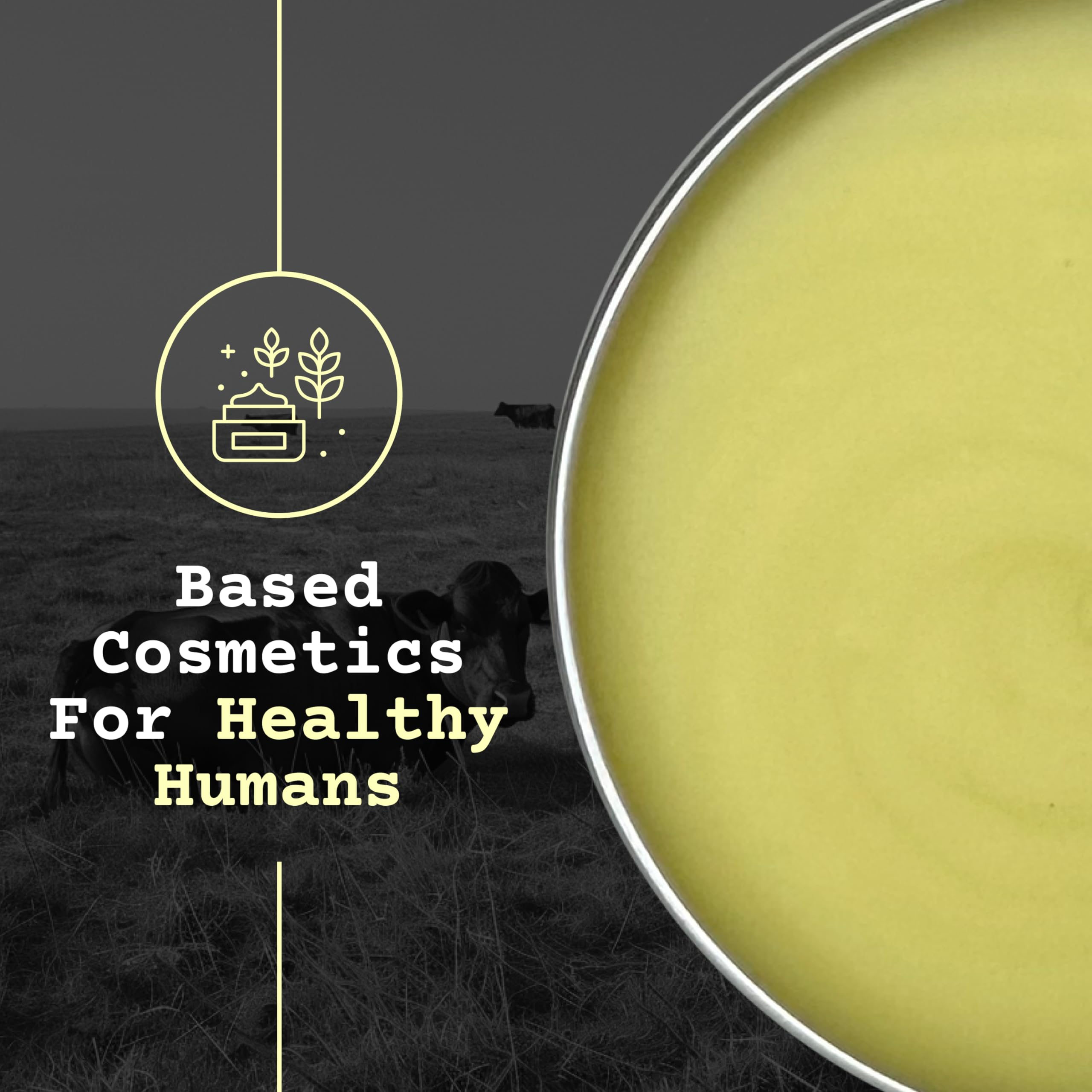 The Tallowed Truth F-Balm Tallow – Grass-Fed, Grass-Finished, 5-Ingredient All-Purpose Balm (2 x 2 oz) – Made in Canada