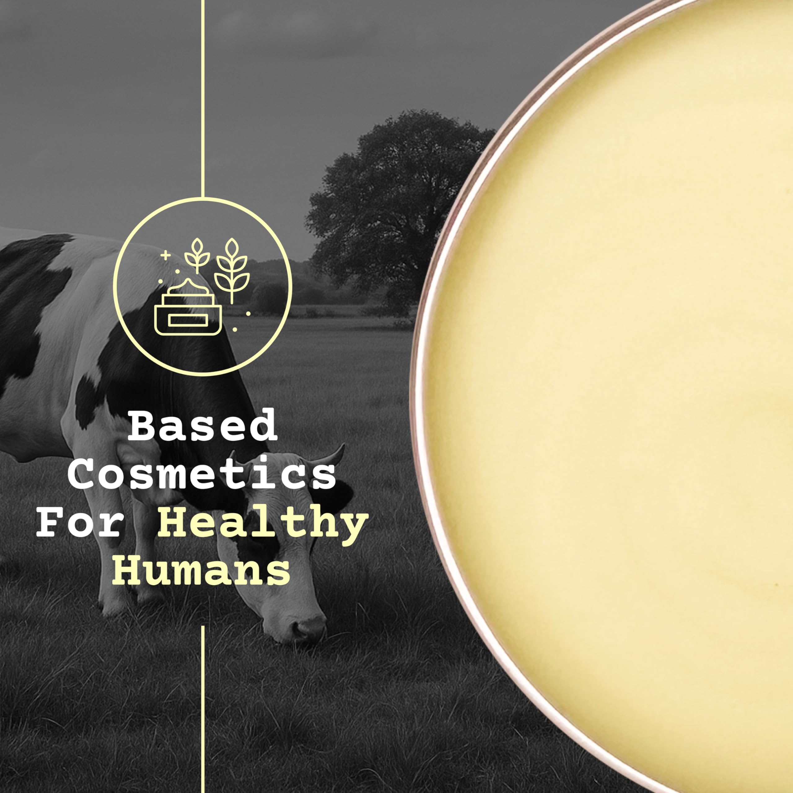 The Tallowed Truth F-Balm Tallow – Grass-Fed & Grass-Finished, 5-Ingredient All-Purpose Balm – 2 oz – Made in Canada