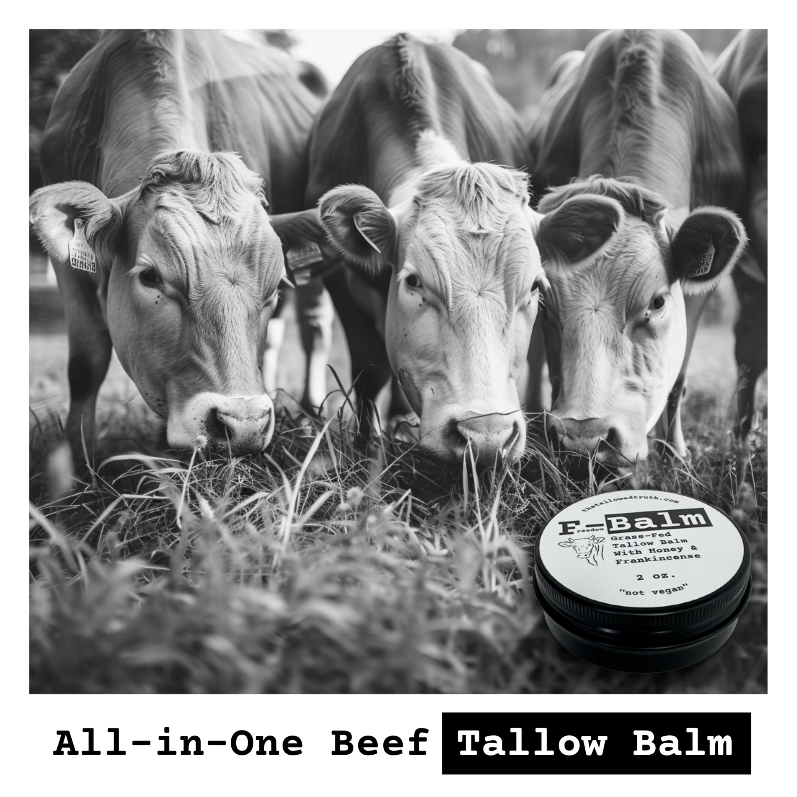 The Tallowed Truth F-Balm Tallow – Grass-Fed, Grass-Finished, 5-Ingredient All-Purpose Balm (2 x 2 oz) – Made in Canada