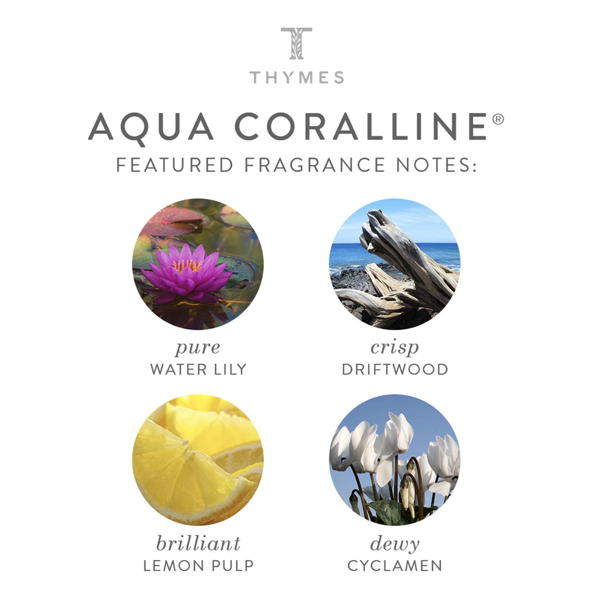 Thymes Moisturizing Body Wash with Pump – Aqua Coralline, Water Lily & Yuzu (9.25 fl oz)