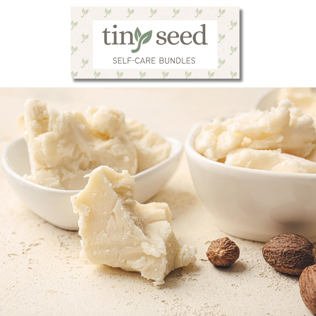 TINY SEED 2-Pack Shea Body Wash | Raw Shea Butter & Mafura Oil for Men + Free Loofah
