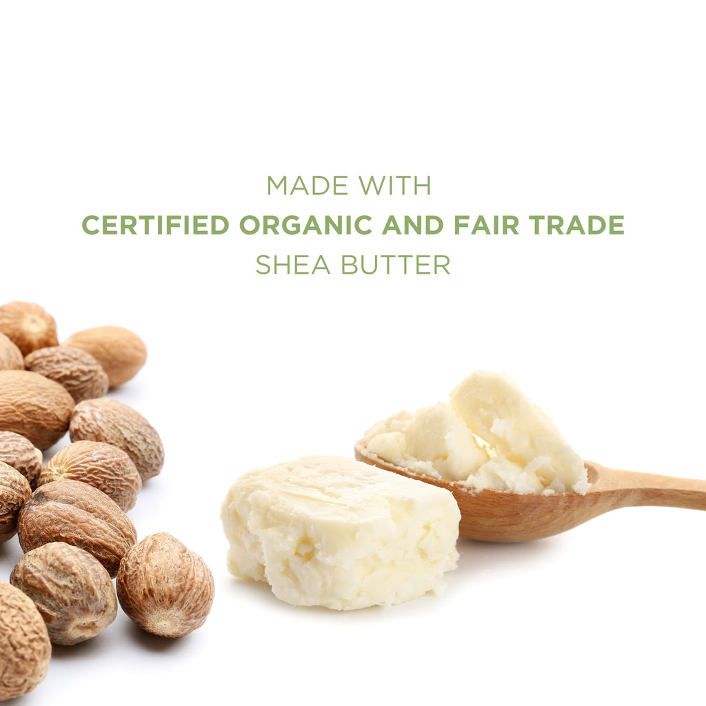 TINY SEED 2-Pack Shea Body Wash | Raw Shea Butter & Mafura Oil for Men + Free Loofah