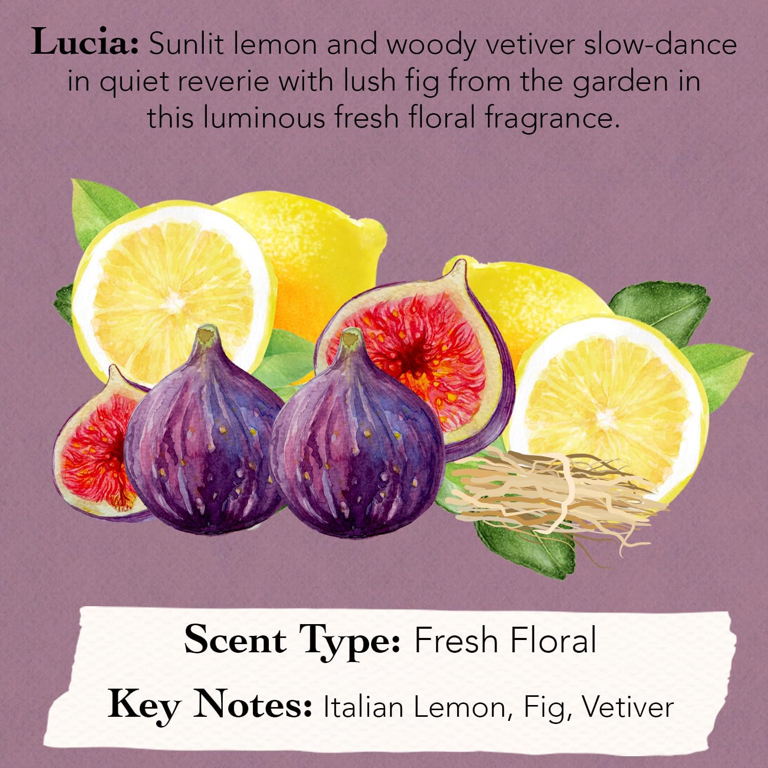 Tocca Florence Women's Perfume 50ml + Mini Discovery Set (8 Travel Sprays)