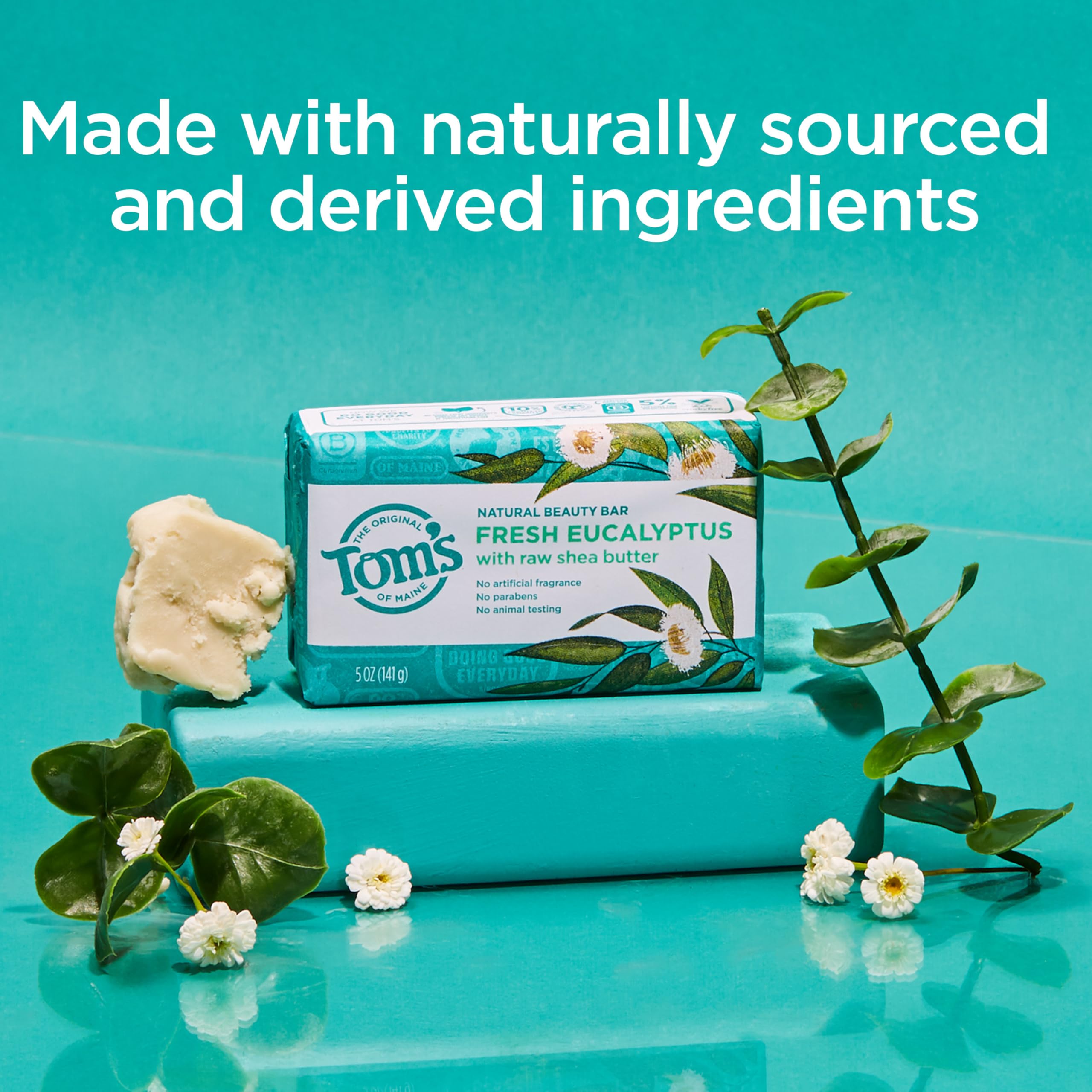 Tom's of Maine Moisturizing Natural Beauty Bar Soap - Fresh Eucalyptus, 5 oz (Pack of 6)