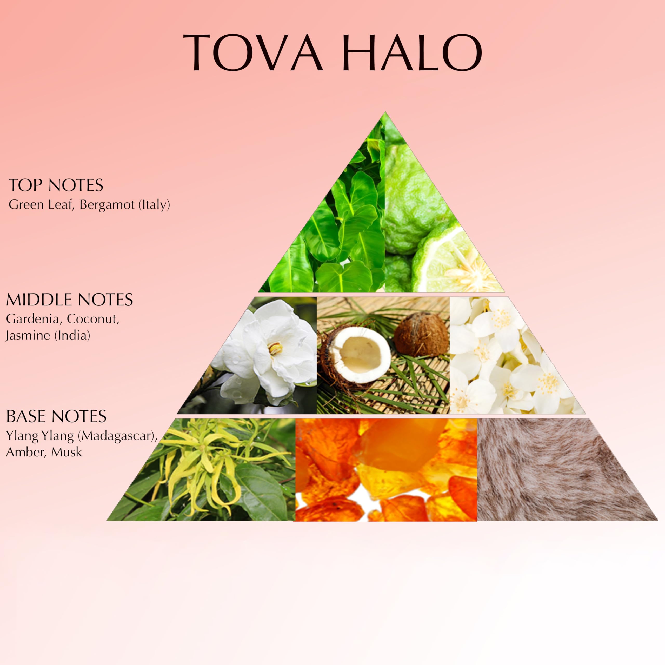 Tova Halo Eau de Parfum – Floral Gourmand for Women (3.4 oz) – Jasmine, Coconut & Amber | Cruelty-Free, Crafted in France