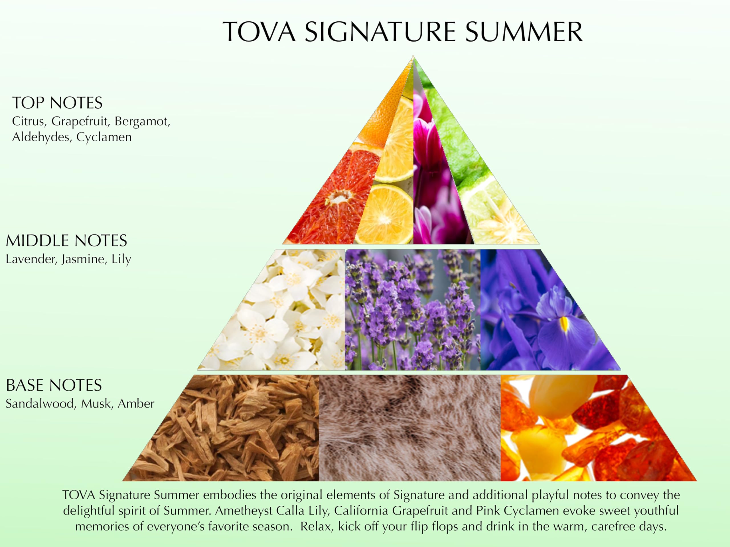 Tova Signature Summer Eau de Parfum – Floral Citrus for Women, 3.4 fl oz, Cruelty-Free, Made in USA