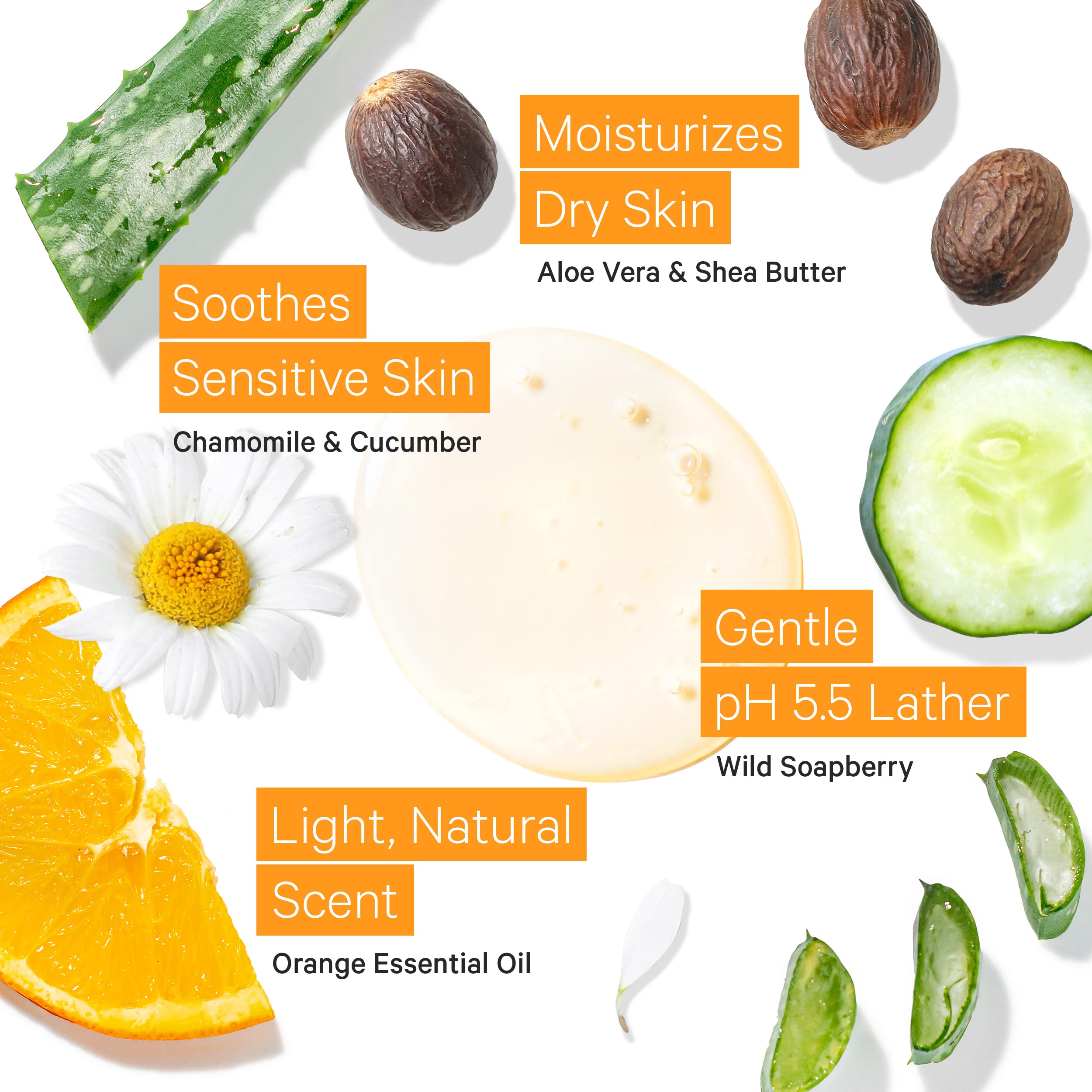 Tree to Tub Citrus Body Wash for Dry & Sensitive Skin – pH Balanced, Hydrating Shea Butter Formula