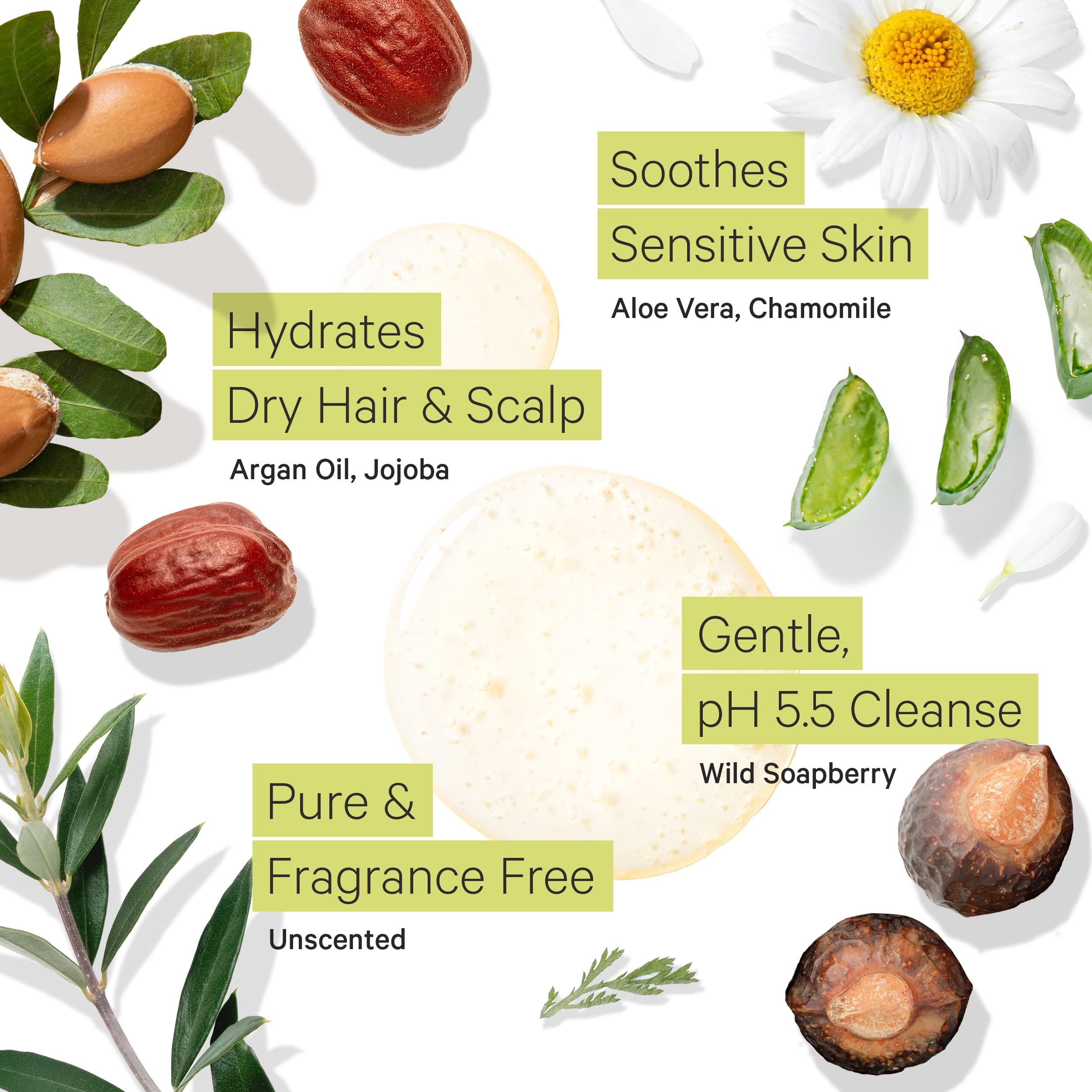 Tree to Tub Fragrance Free Shampoo for Dry & Sensitive Scalp – Unscented Hydration with Argan Oil