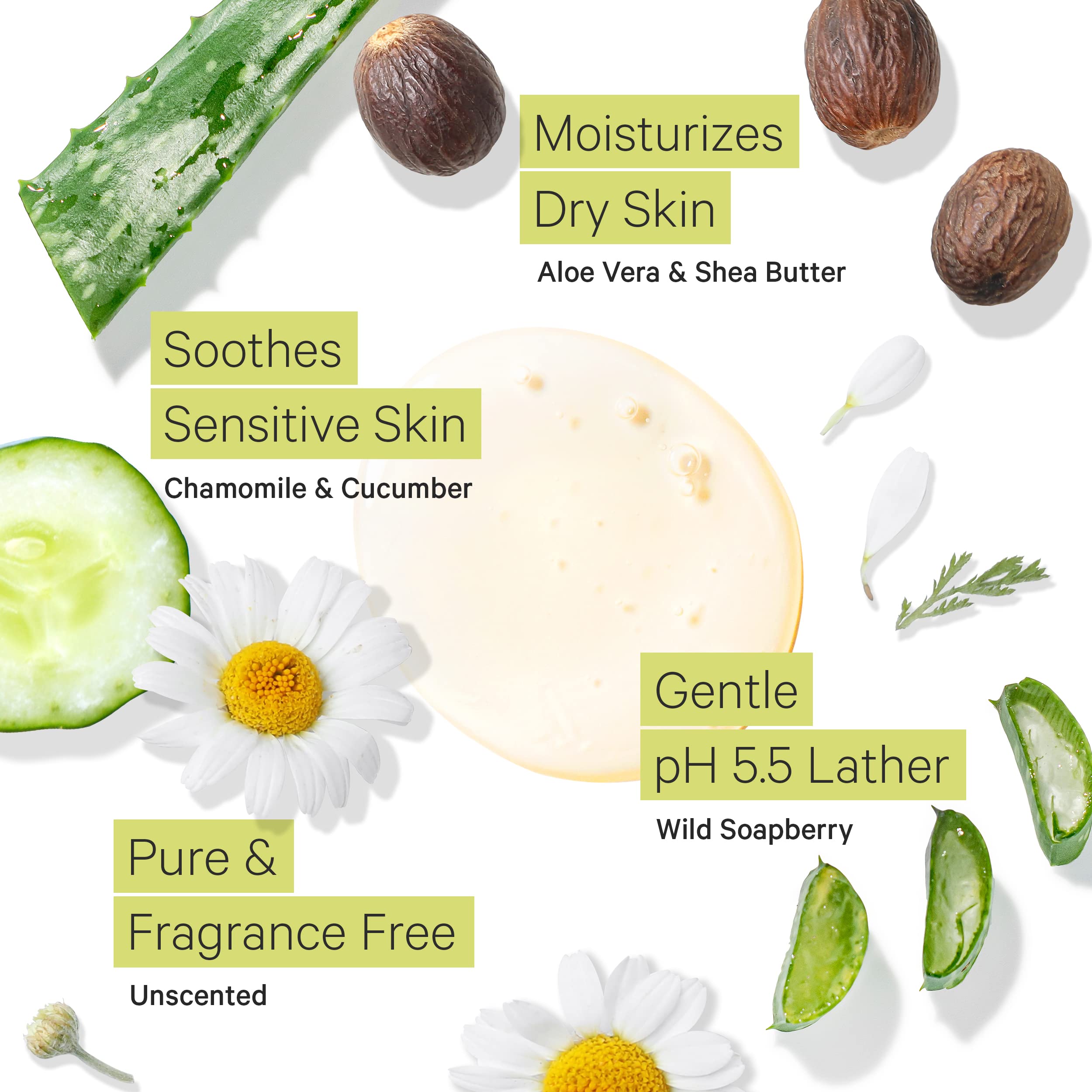 Tree to Tub Unscented Body Wash for Sensitive Skin – Moisturizing, Fragrance-Free & Sulfate-Free