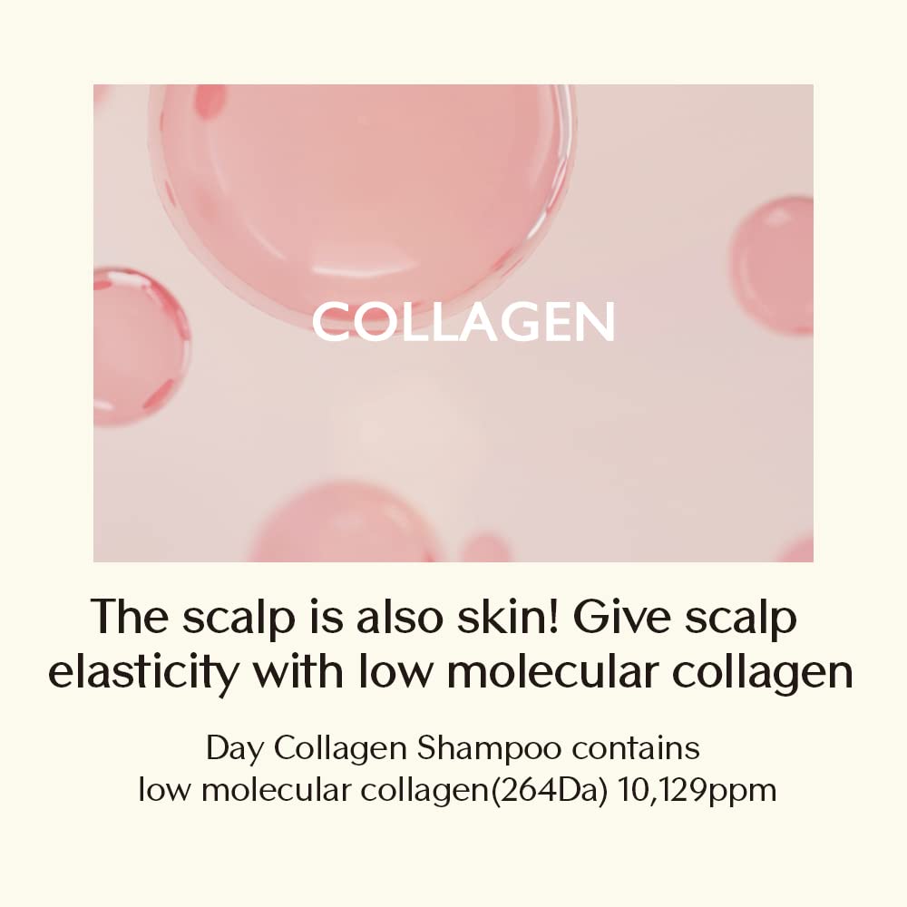 Treecell Day Collagen Shampoo — Volumizing & Hydrating with Low-Molecular Collagen | 12.2 fl oz