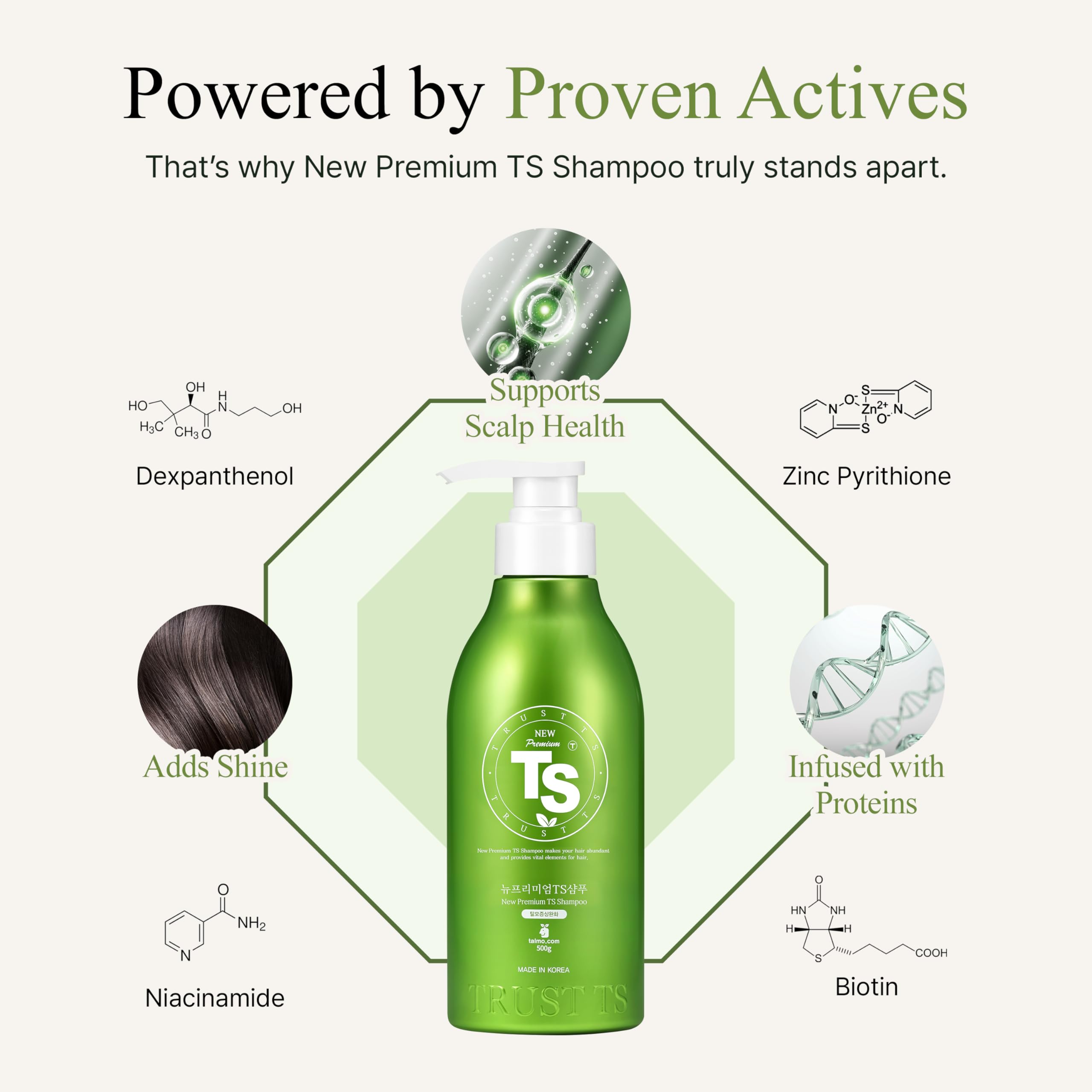 TS New Premium Shampoo – Biotin, Niacinamide & Zinc Pyrithione for Thinning Hair | 19 Botanical Extracts | Sulfate-Free (500ml)