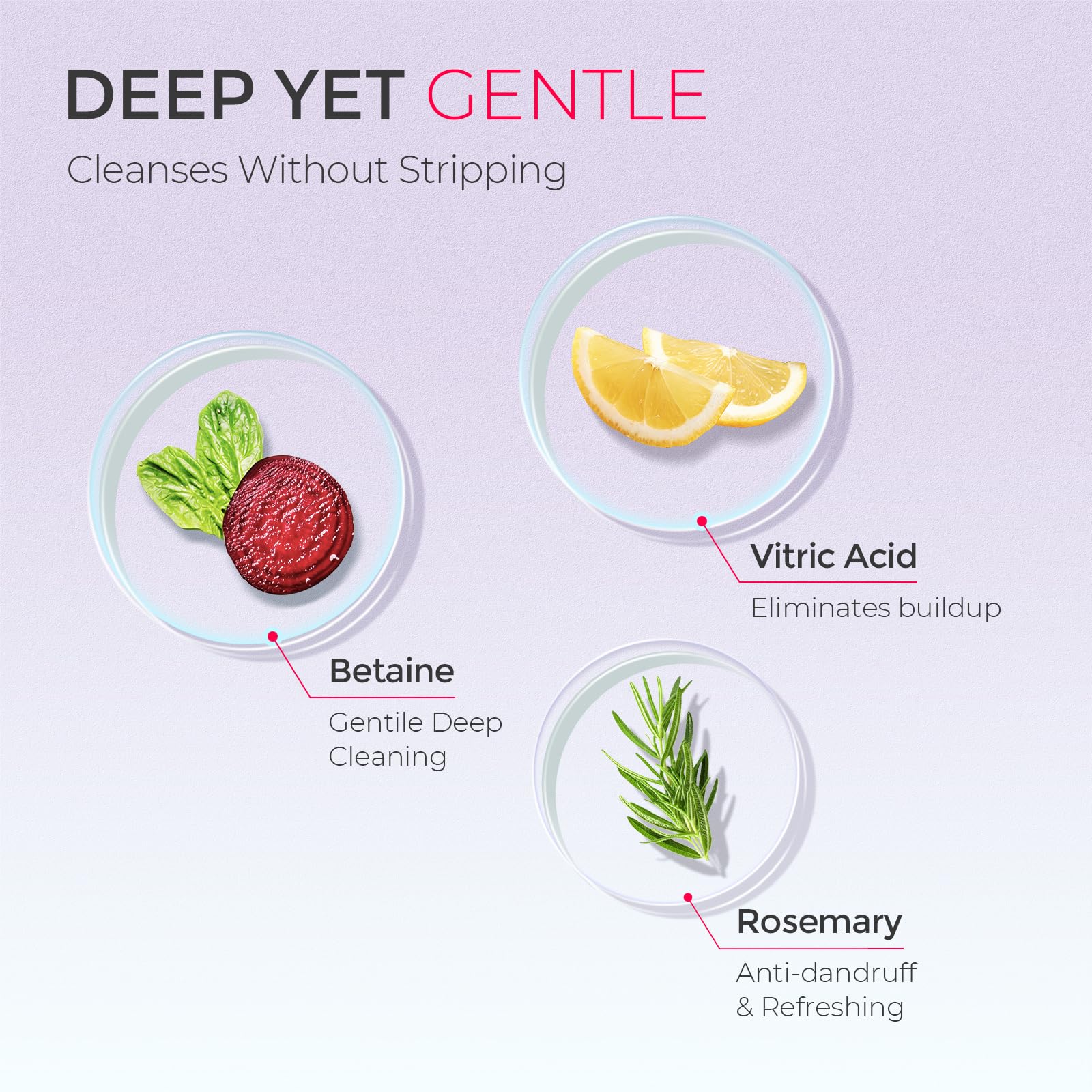 TYMO Clarifying Shampoo for Women – Rosemary Powder, Deep Clean, Sulfate-Free