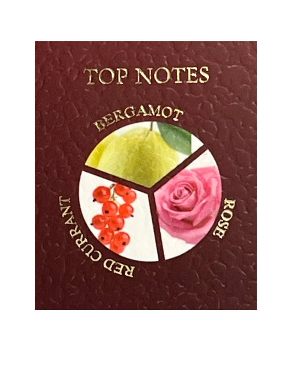 United Scents Pouch Blush Rose For Her Eau de Parfum – 3.4 Fl Oz | Bergamot, Red Currant & Rose