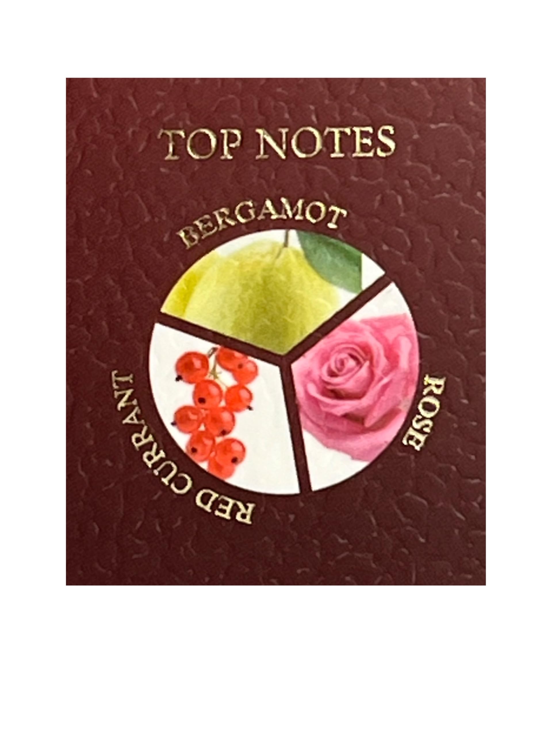 United Scents Pouch Blush Rose For Her Eau de Parfum – 3.4 Fl Oz | Bergamot, Red Currant & Rose