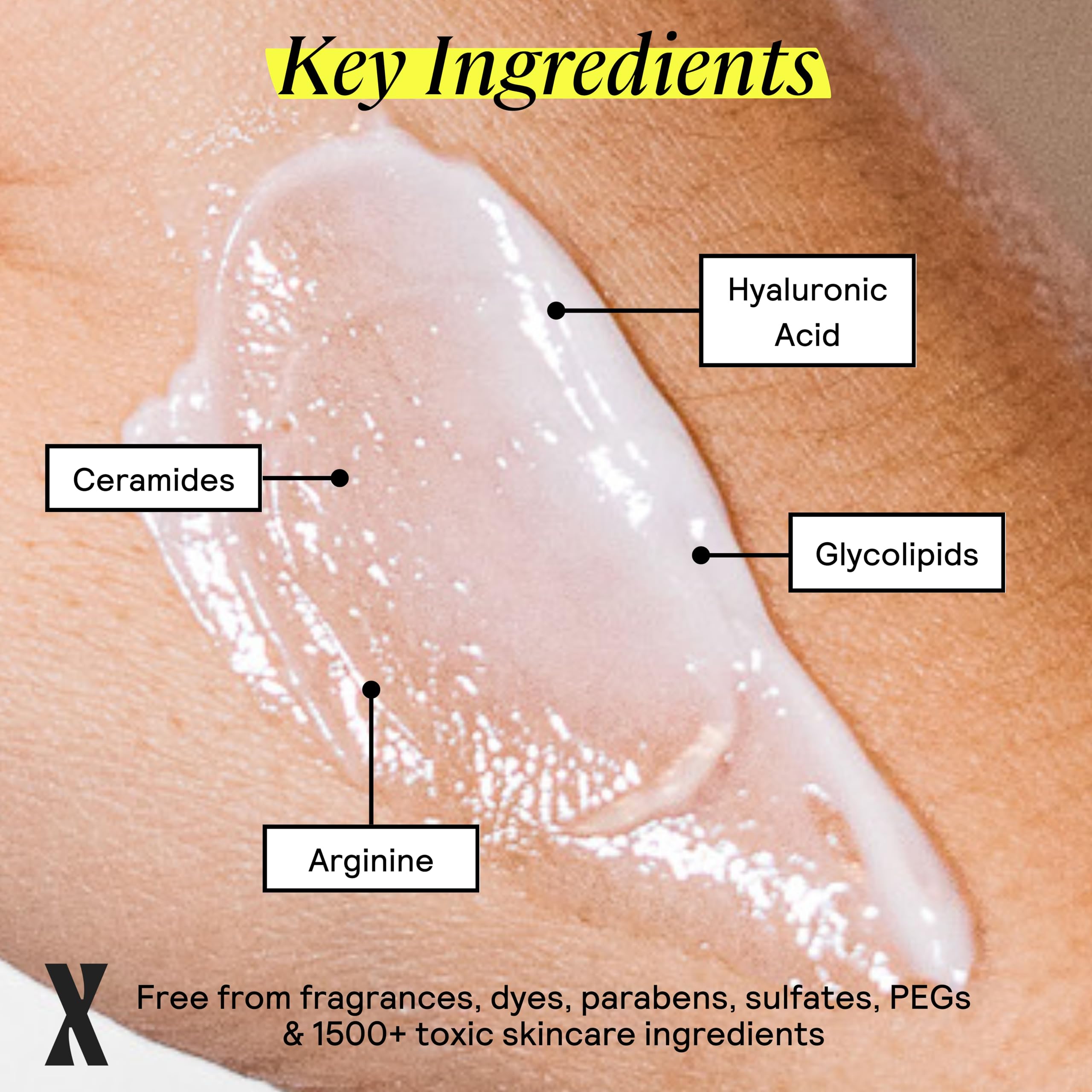 Untoxicated Moisturizing Lotion – Sensitive Skin Daily Moisturizer (Ceramides + Hyaluronic Acid) – Fragrance-Free, Oil-Free, Non-Comedogenic – 10 oz