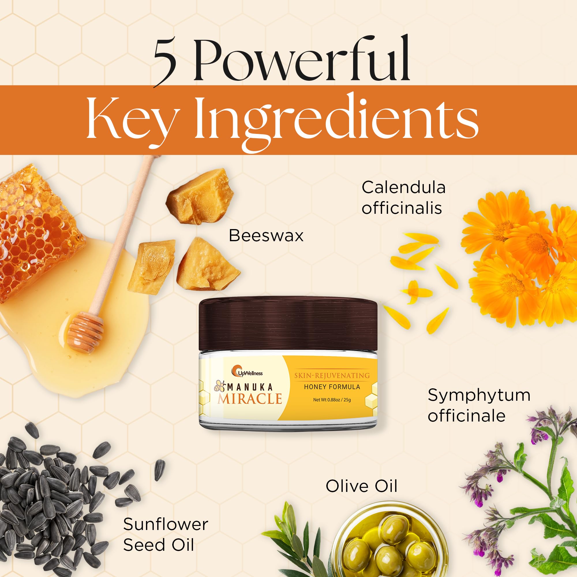 UpWellness Manuka Miracle – 100% Natural Manuka Honey Lotion for Smooth, Radiant Skin | Physician-Formulated