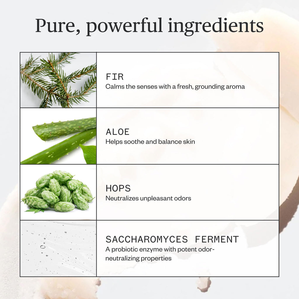 Ursa Major Forest Fix Deodorant – Aluminum-Free, Non-Staining, Cruelty-Free | 2.6 oz