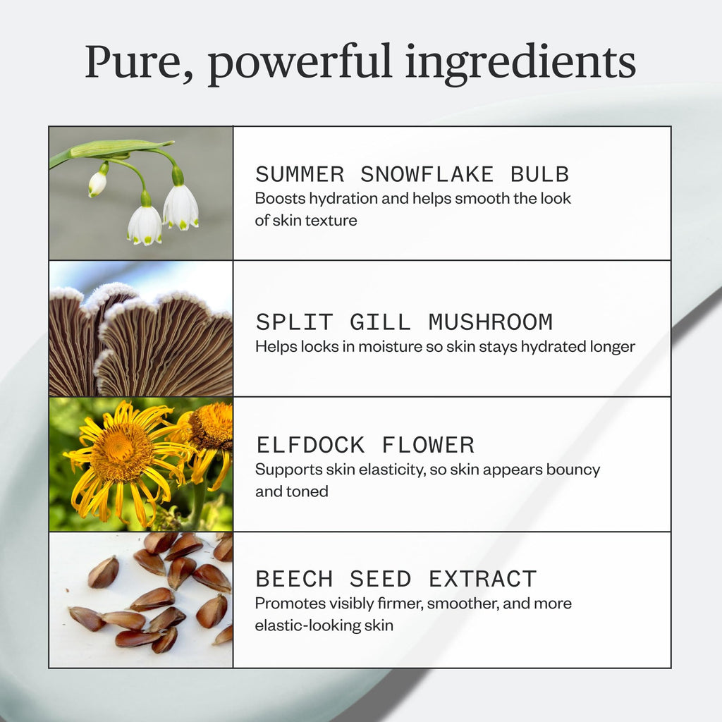 Ursa Major Vital Spring Hydration Mask | Deep Hydration, Smoother Texture, Fir-Laced Aroma | Vegan, Cruelty-Free | 1.69 oz