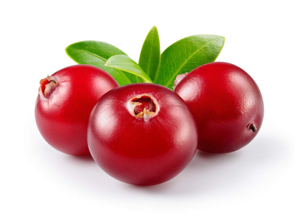 US Organic Cranberry Seed Oil – 100% Organic, Cold-Pressed, 2 oz