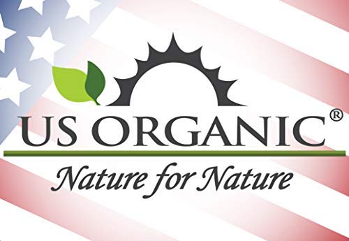 US Organic 100% Pure Lemongrass Essential Oil – USDA Organic, Steam Distilled, 10ml (Pack of 2)