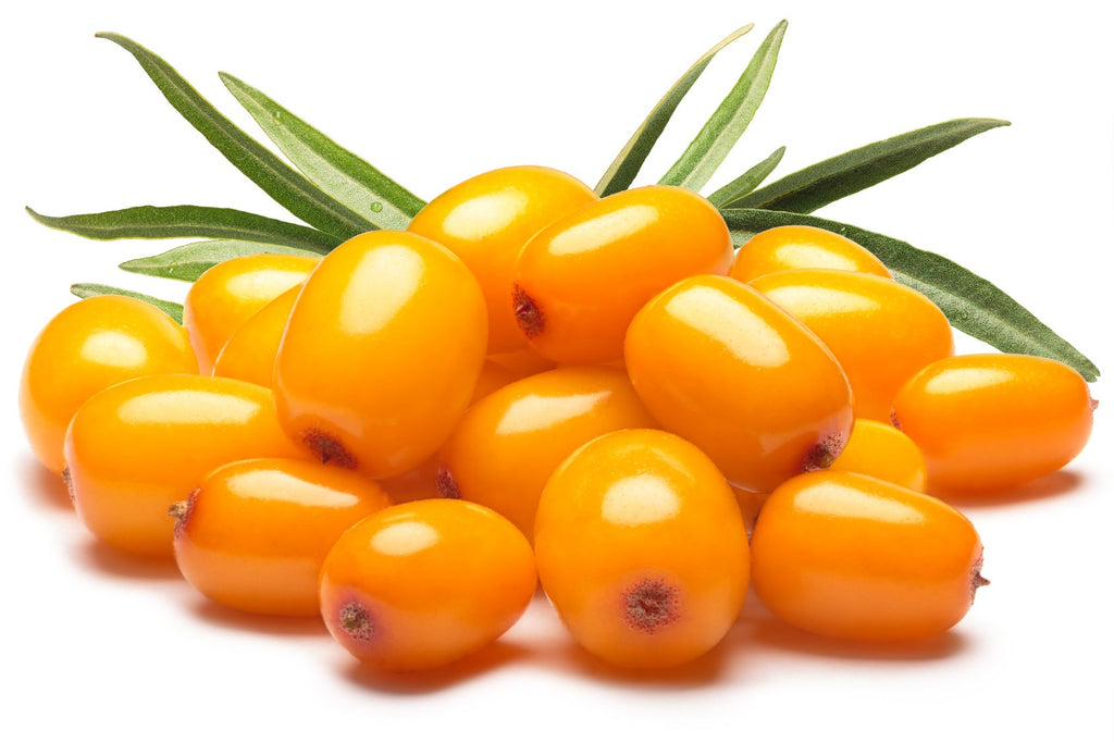 US Organic Sea Buckthorn Berry Oil – 100% Pure, USDA Organic, Supercritical CO2 Extracted, 1 oz