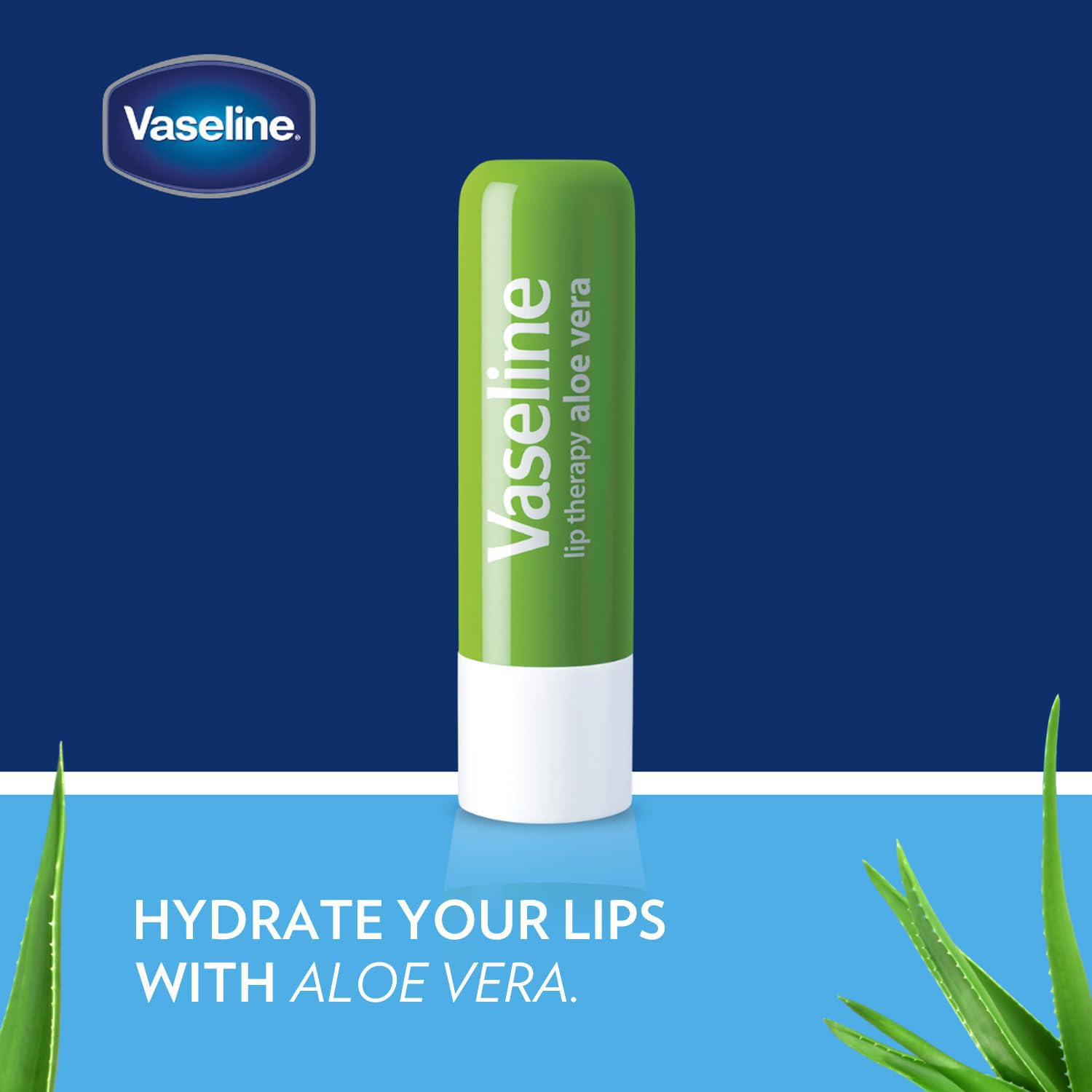 Vaseline Lip Therapy Aloe Fresh 12-Pack – Moisturizing Lip Balm for Very Dry Lips, 0.16 oz Each