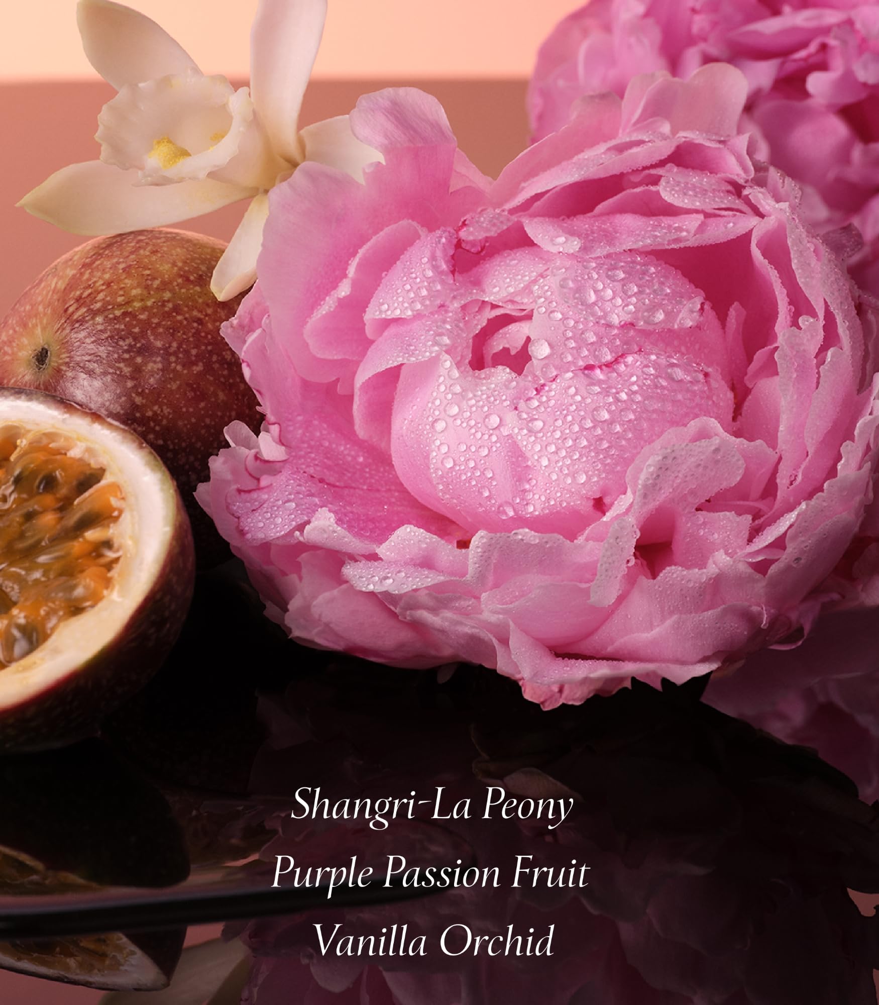 Victoria's Secret Bombshell Fragrance Body Lotion – Purple Passion Fruit, Shangri-La Peony & Vanilla Orchid (8.4 oz)