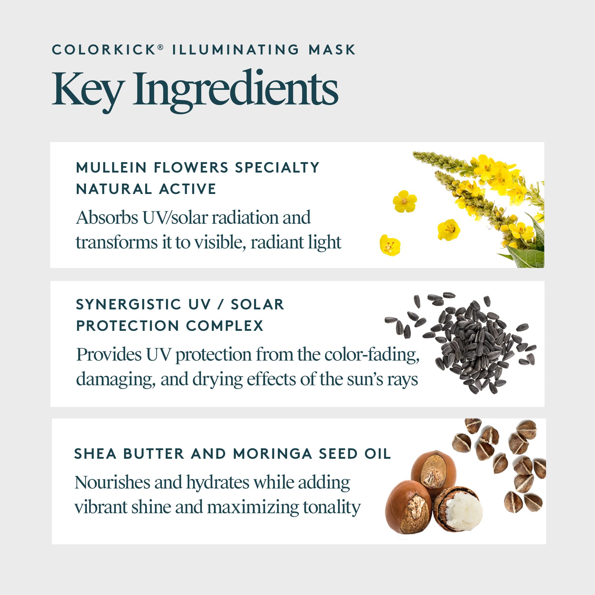 Virtue ColorKick Illuminating Hair Mask | Tones, Nourishes & Preserves Color-Treated Hair
