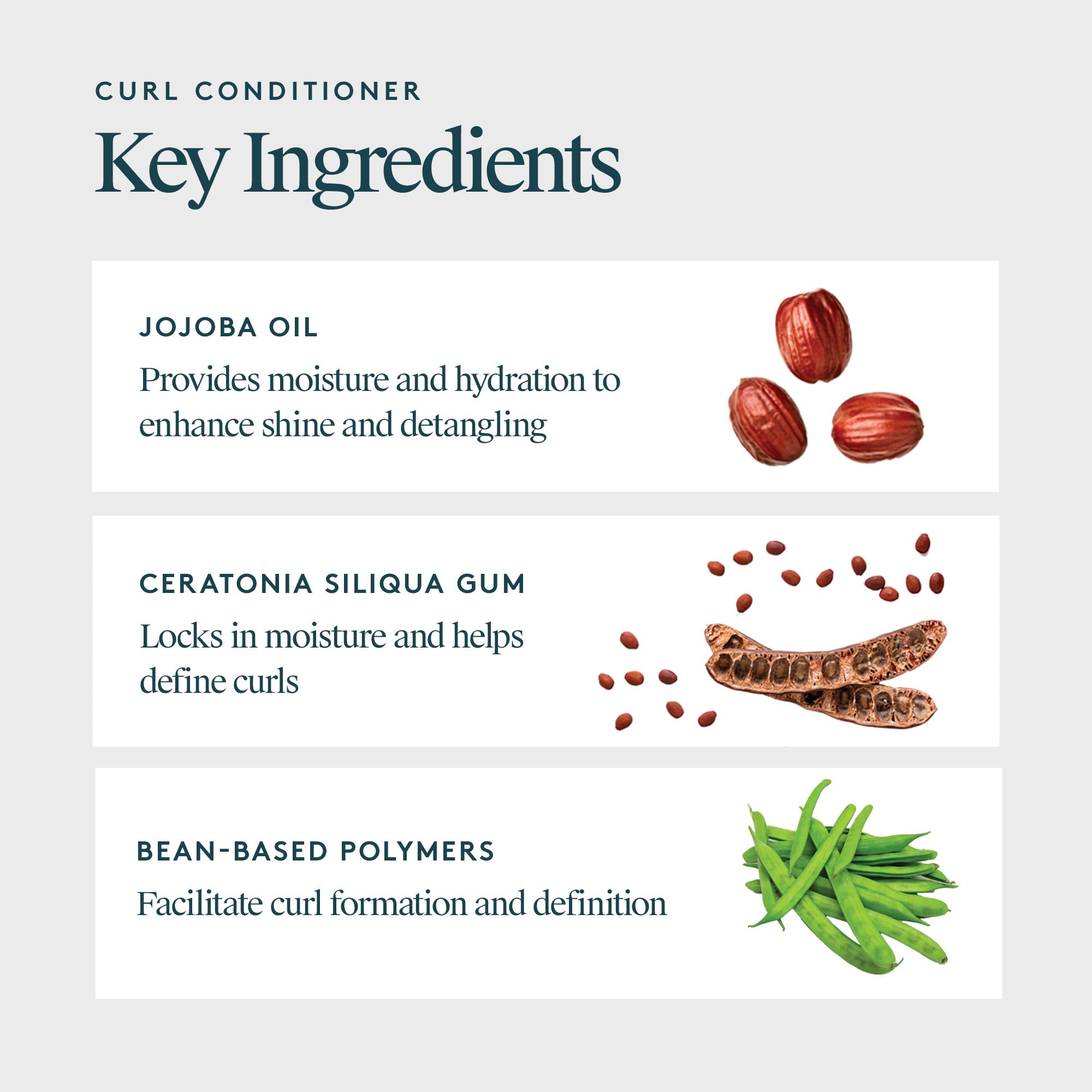 VIRTUE Curl Conditioner with Jojoba Oil – Sulfate-Free & Color Safe