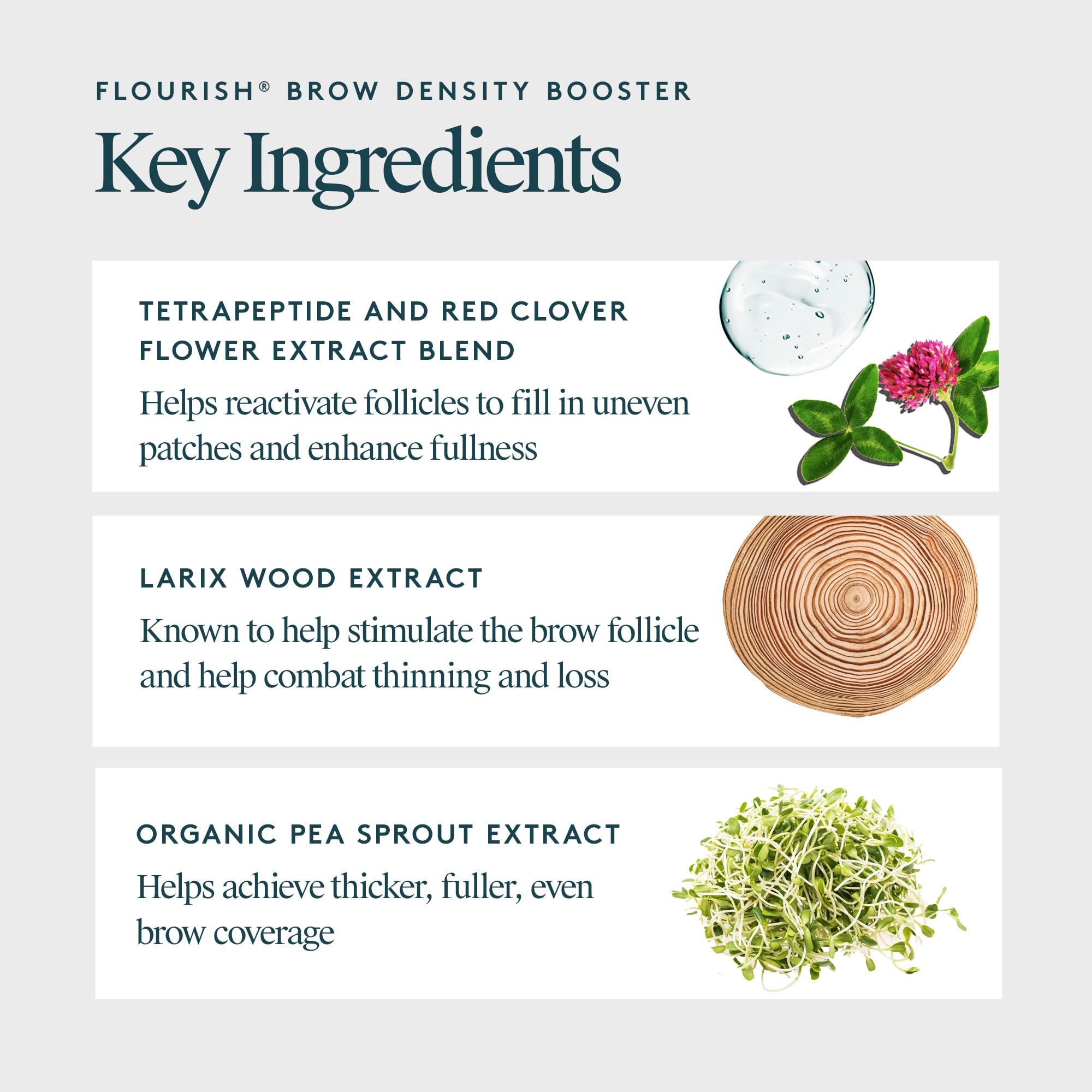 Virtue Flourish Brow Density Booster with Keratin – Thicker, Healthier Brows | VIRTUE