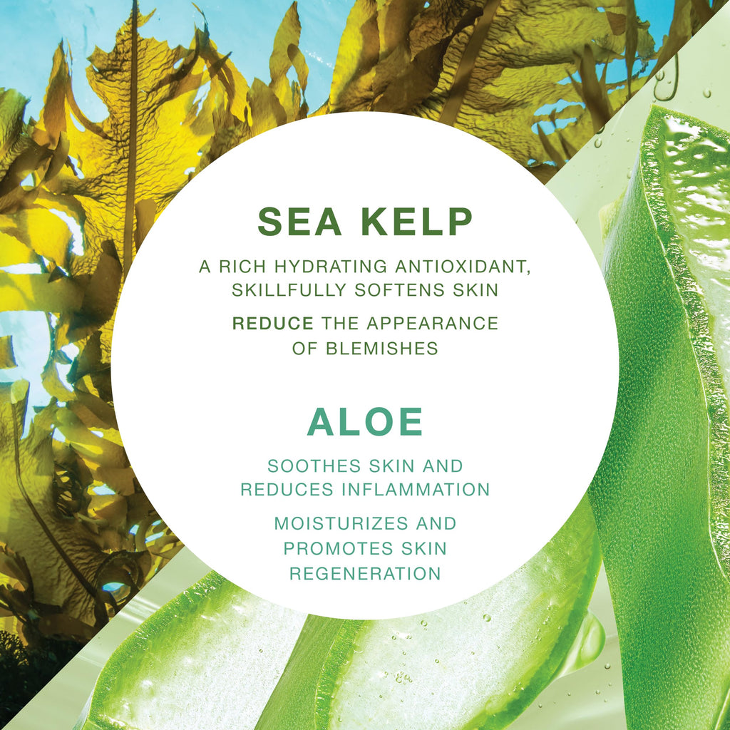 VITAMINS AND SEA BEAUTY Moisturizing Body Wash with Sea Kelp & Aloe Vera – Hydrating Shower Gel (33.8 fl oz)