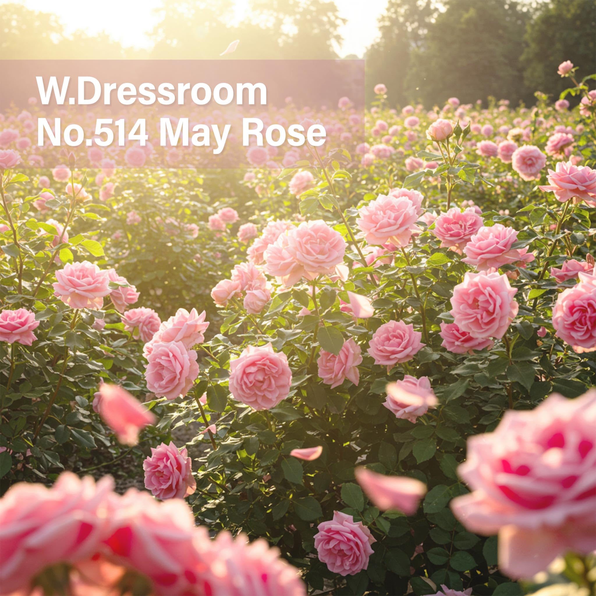 W.Dressroom Moisturizing Hand Cream – Non-Greasy, Quick-Absorbing Korean Hand Lotion (50 ml) – May Rose