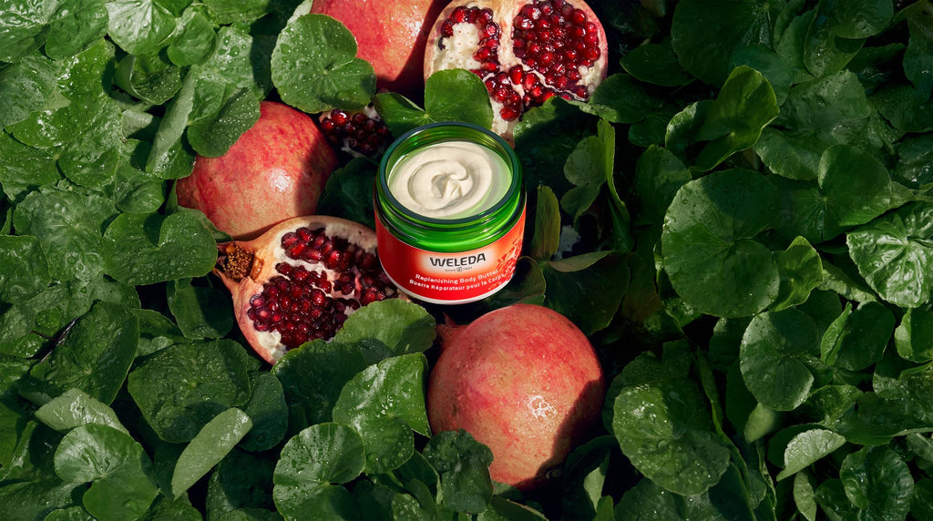 Weleda Replenishing Body Butter - Pomegranate & Plant Extracts, 5 oz