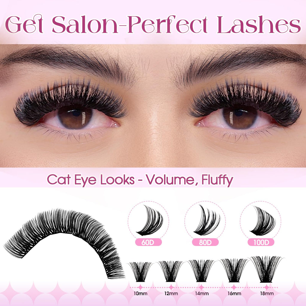 Wendy Lashes Clusters Kit Packs | 980-Pcs Bulk Lash Kit, 60D–100D, D Curl