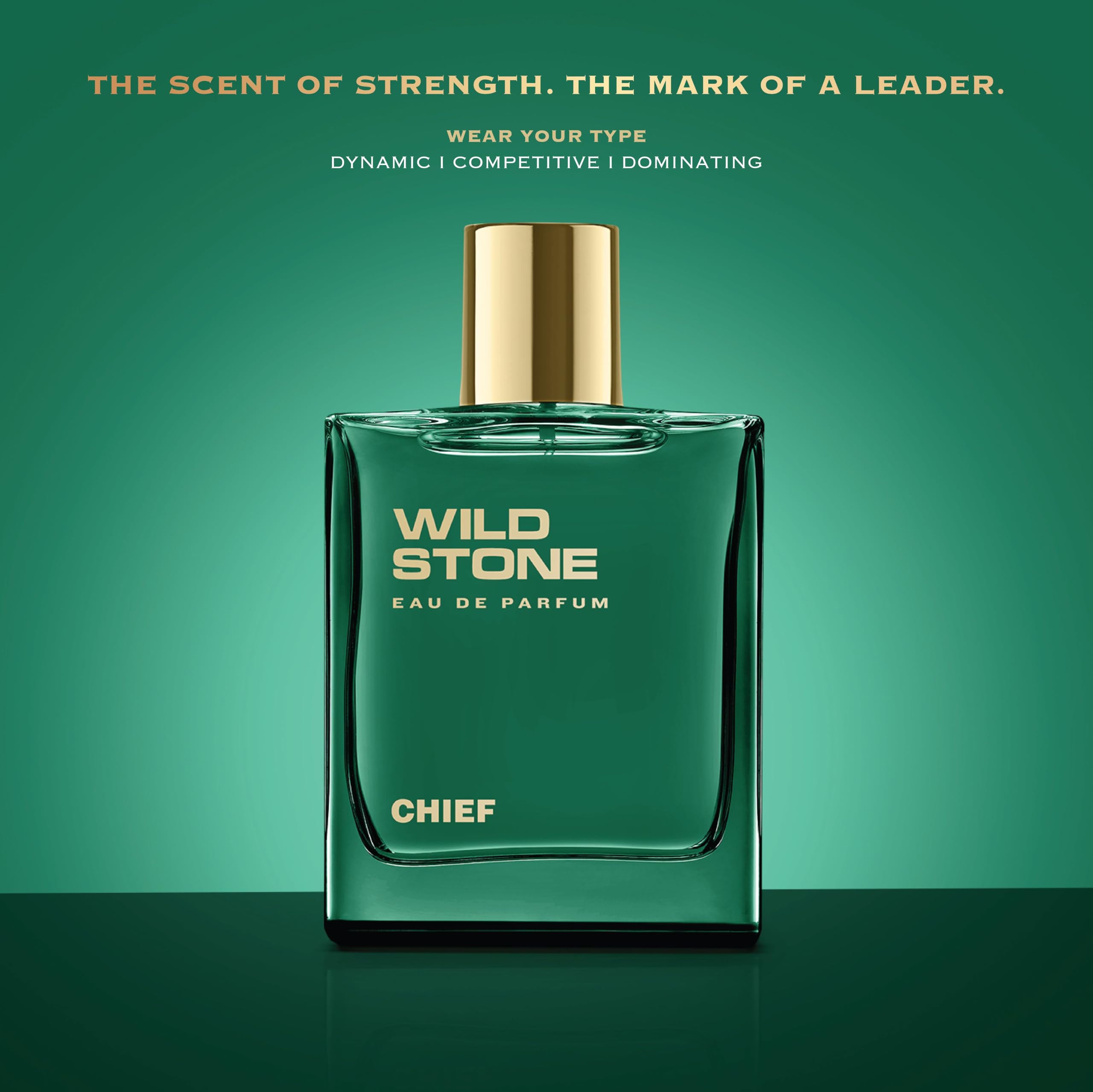 Wild Stone Chief EDP for Men – Luxury Aquatic-Woody Perfume, 100 ml