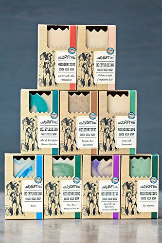 Windrift Hill Moisturizing Goat Milk Soap - 3-Pack Citrus Sun | Handmade in Montana