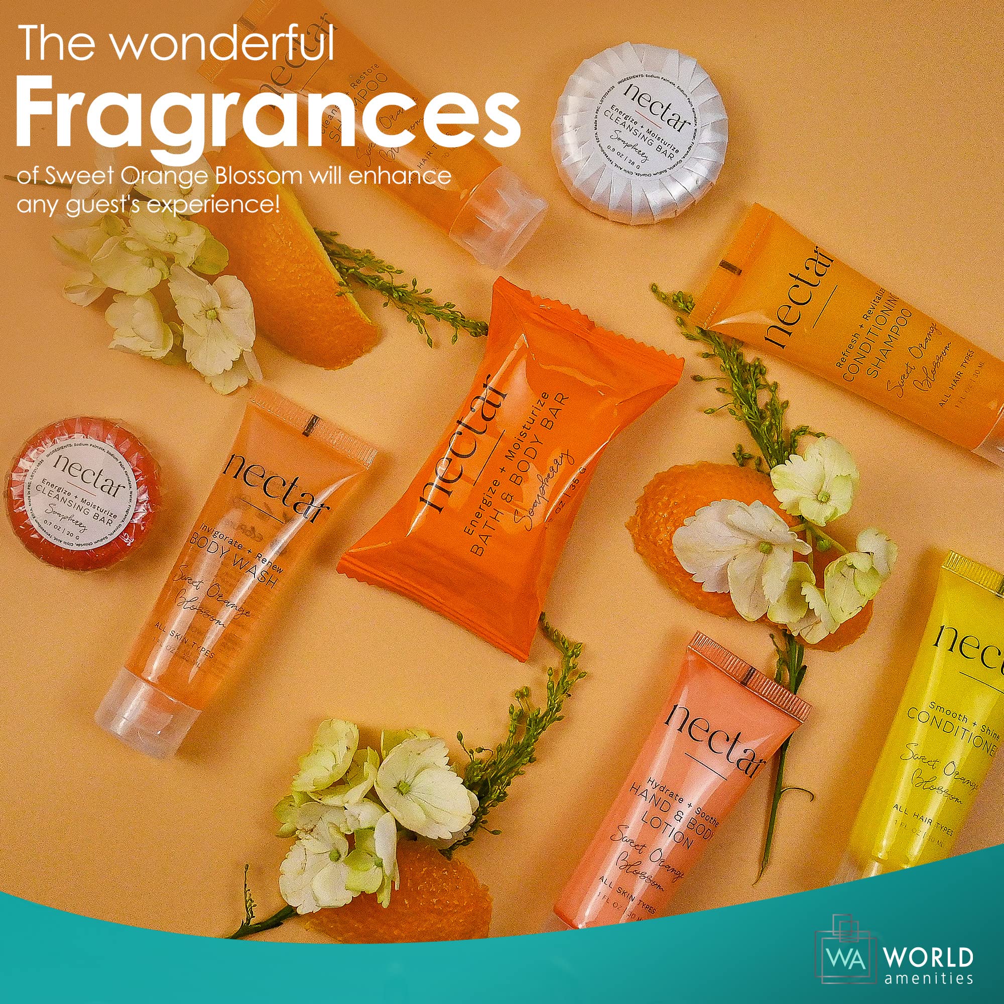World Amenities Nectar Bulk 2-in-1 Shampoo | 50 Count | Sweet Orange Blossom