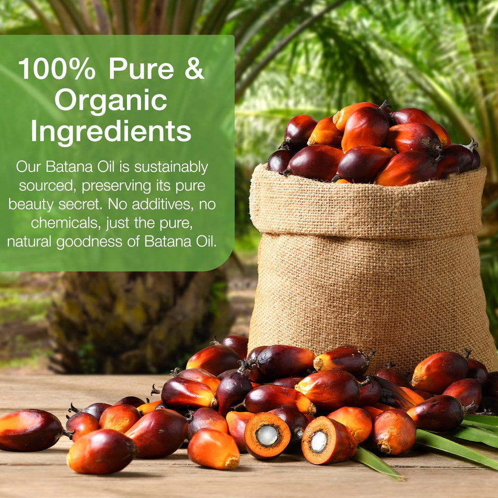 Xsvseie Batana Oil for Hair Growth – Organic Honduran Batana Hair Oil