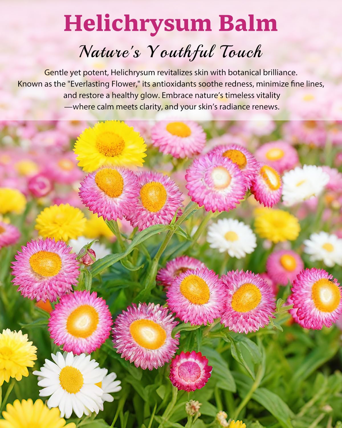 XUEBEIK Helichrysum Balm - Hydrating, Soothing Salve for Delicate Skin