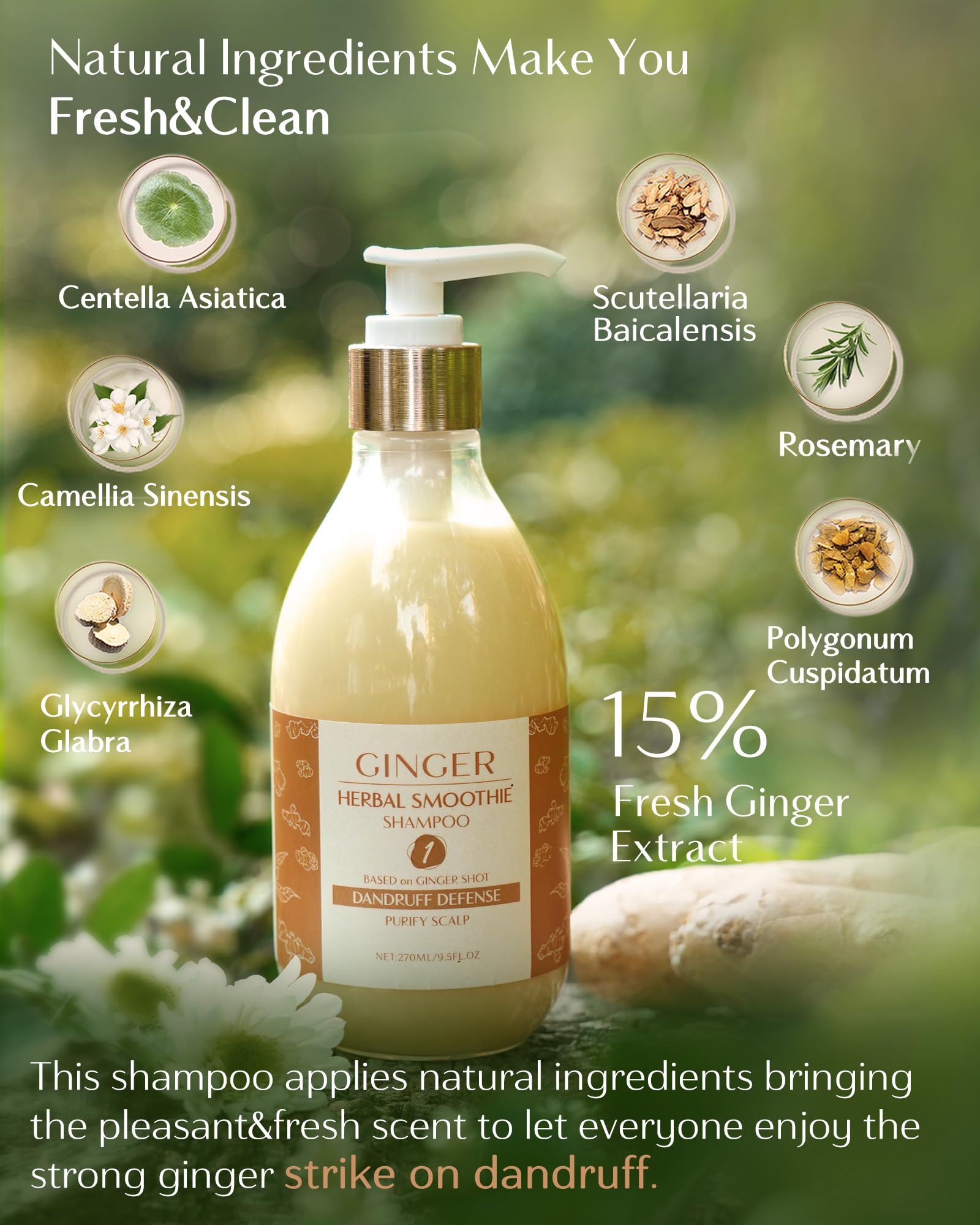 YANIBEST Anti-Dandruff Ginger Shampoo | Organic Ginger Formula for Scalp Health & Itch Relief