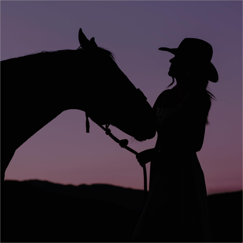 Yellowstone Dusk Purse Spray by Tru Fragrance Beauty – Tru Western
