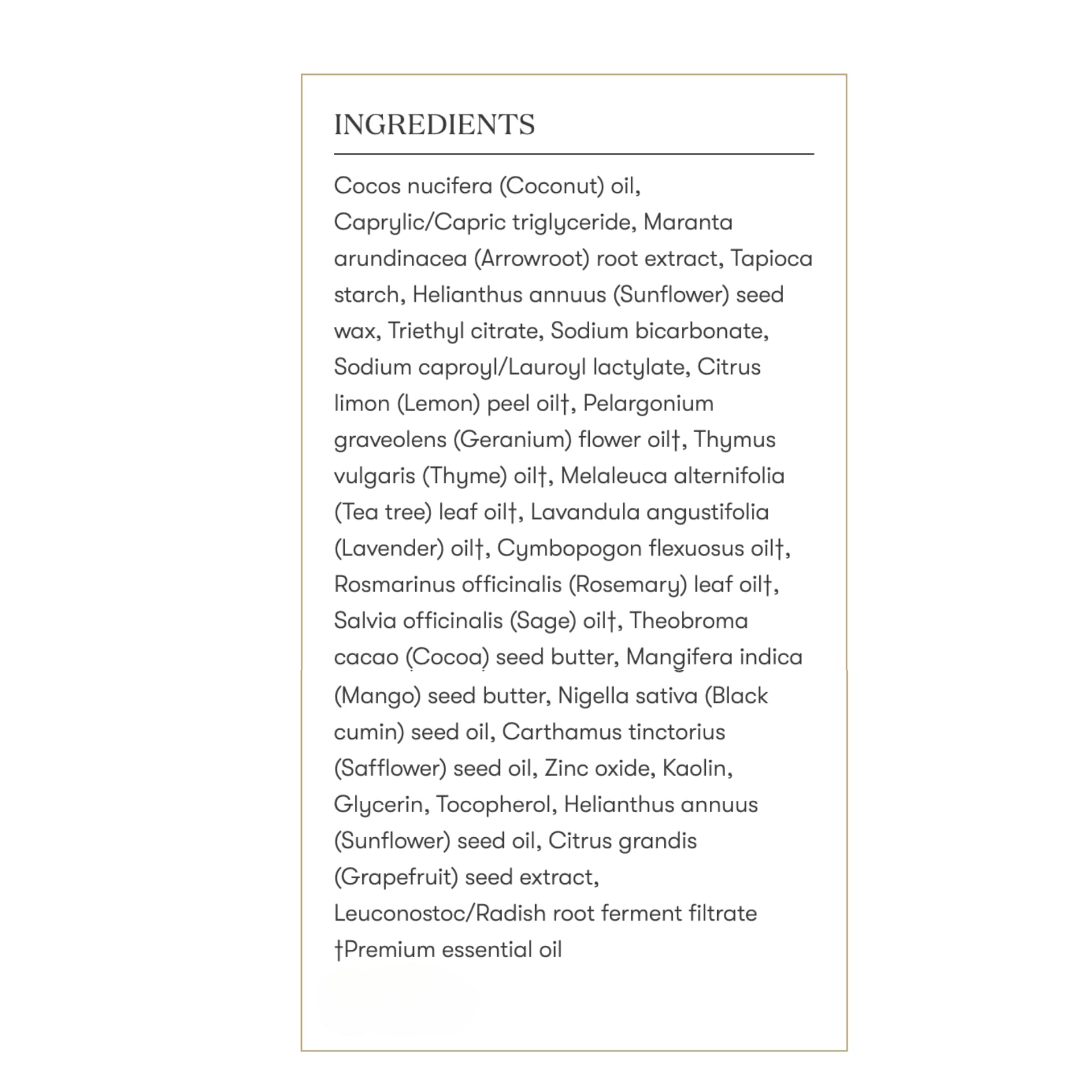 Young Living CitraGuard Deodorant 1.5 oz | Natural Odor Protection, Moisture-Absorbing & Vegan